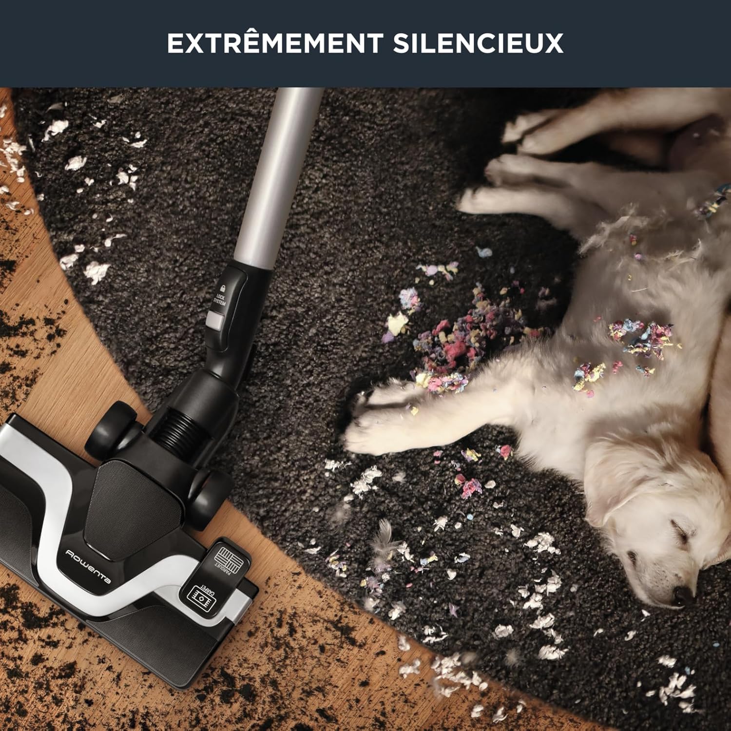Aspirateur Rowenta Silencieux Cyclonic 5etoile Ro7691ea