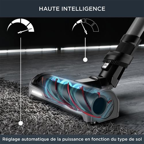 Aspirateur Rowenta X-Force Flex 14.60 kit Animal RH99A9WO