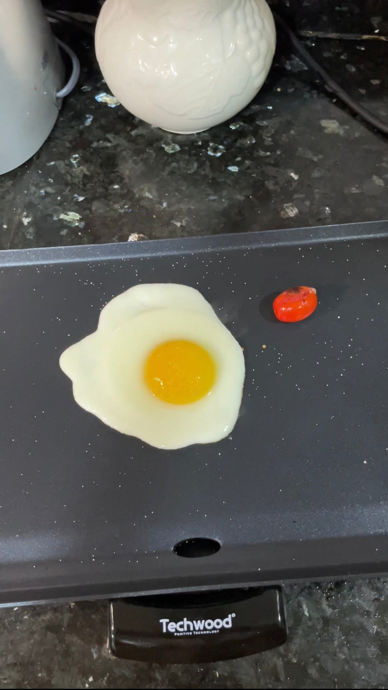 Plancha Electrique Royal Swiss 90cm/23cm