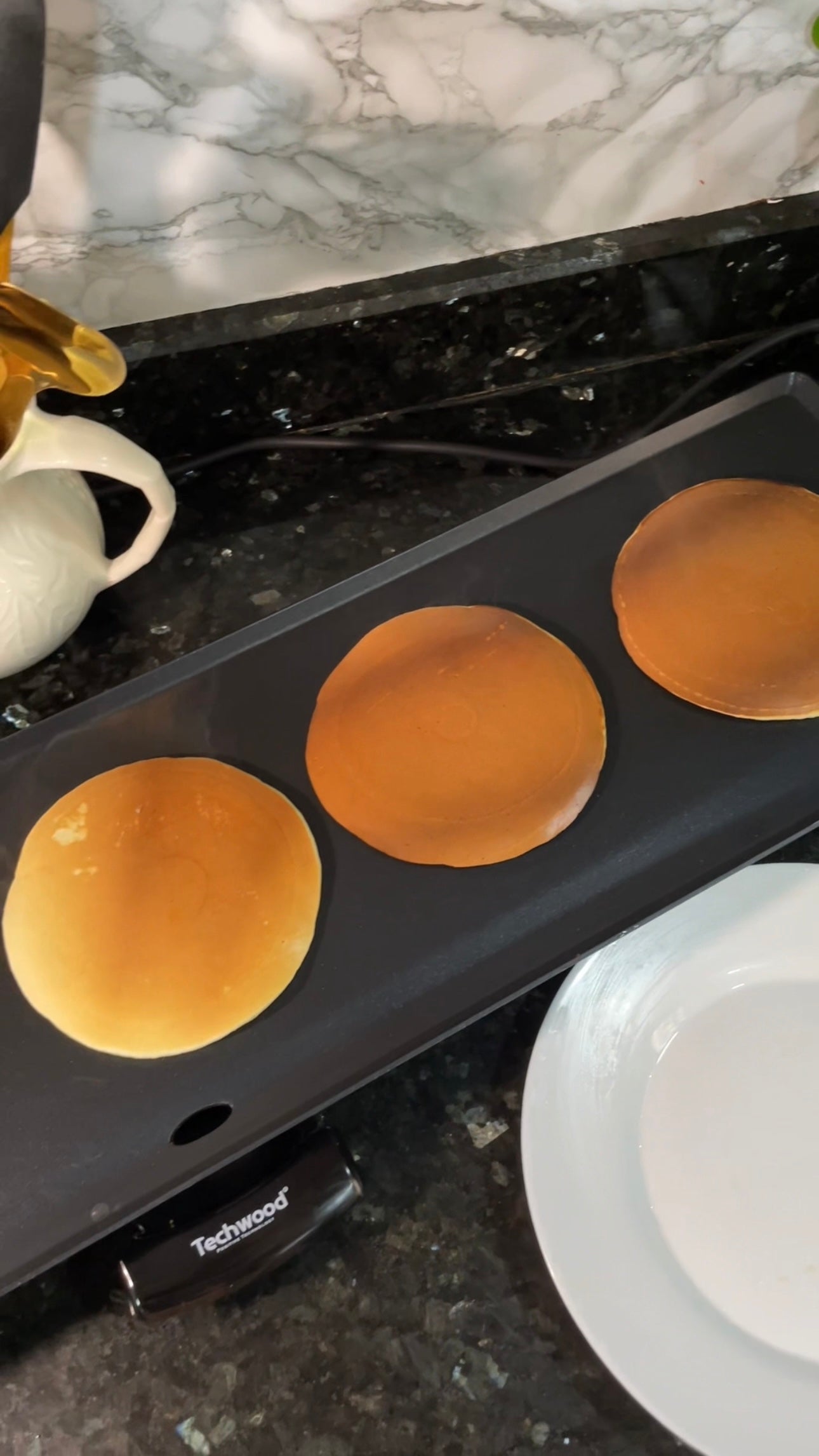 Plancha Electrique Royal Swiss 90cm/23cm