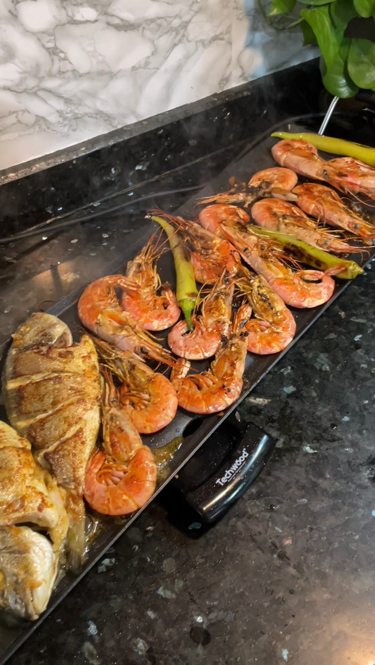 Plancha Techwood Teppan Yaki Grill Jumbo 1800w