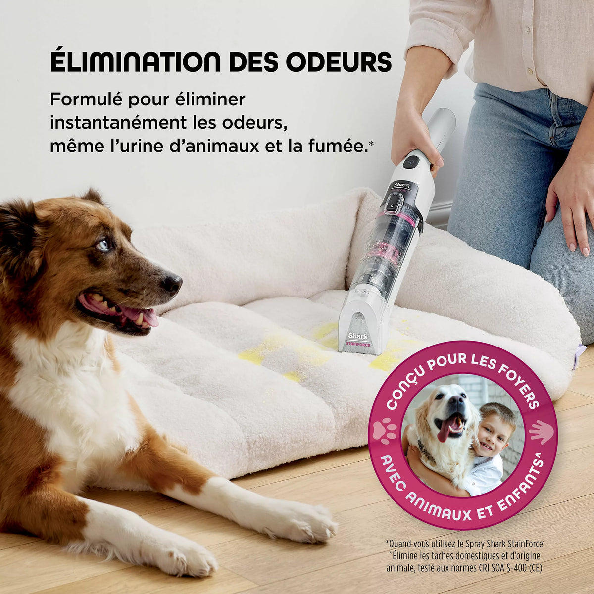 Shampouineuse Shark StainForce sans fil