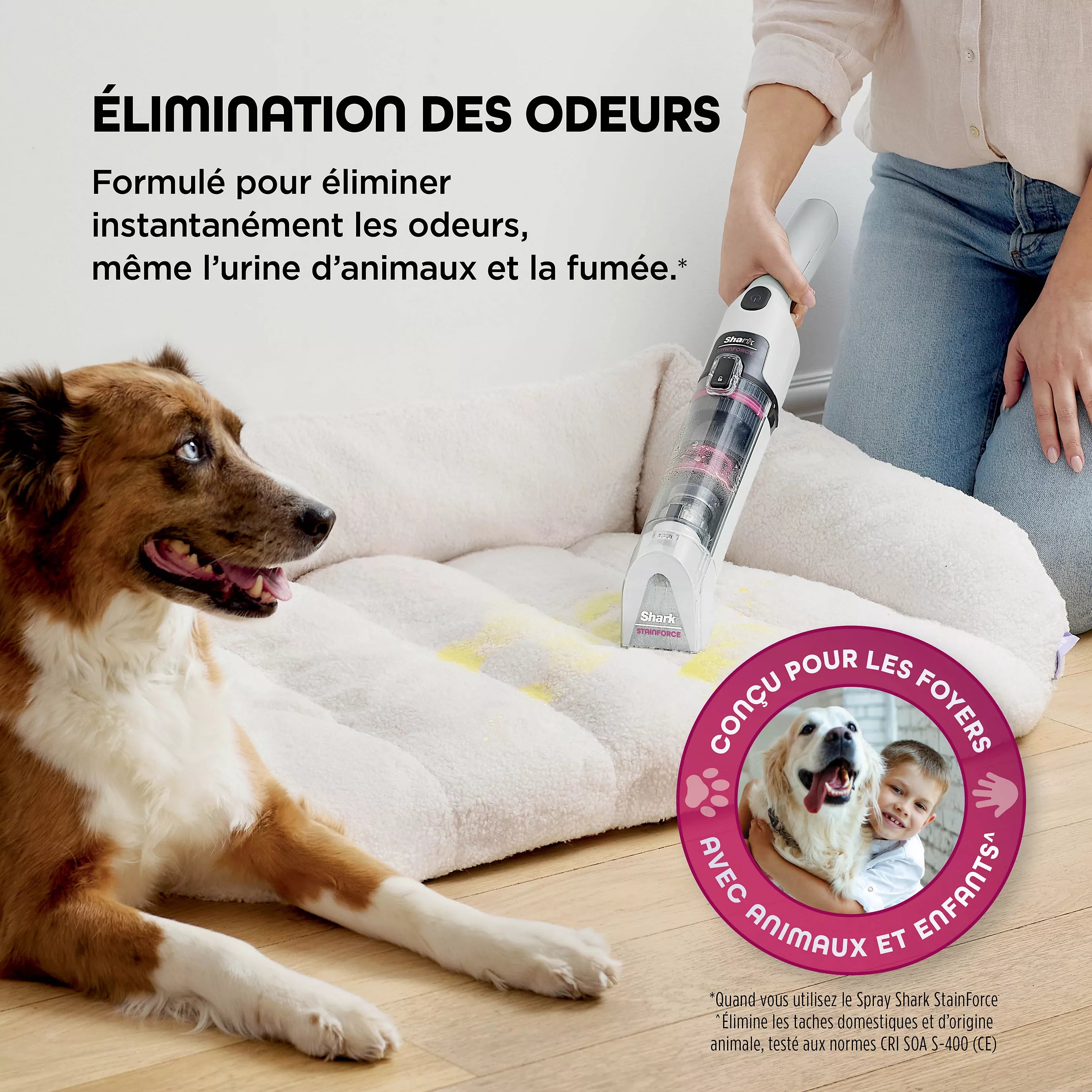 Shampouineuse Shark StainForce sans fil
