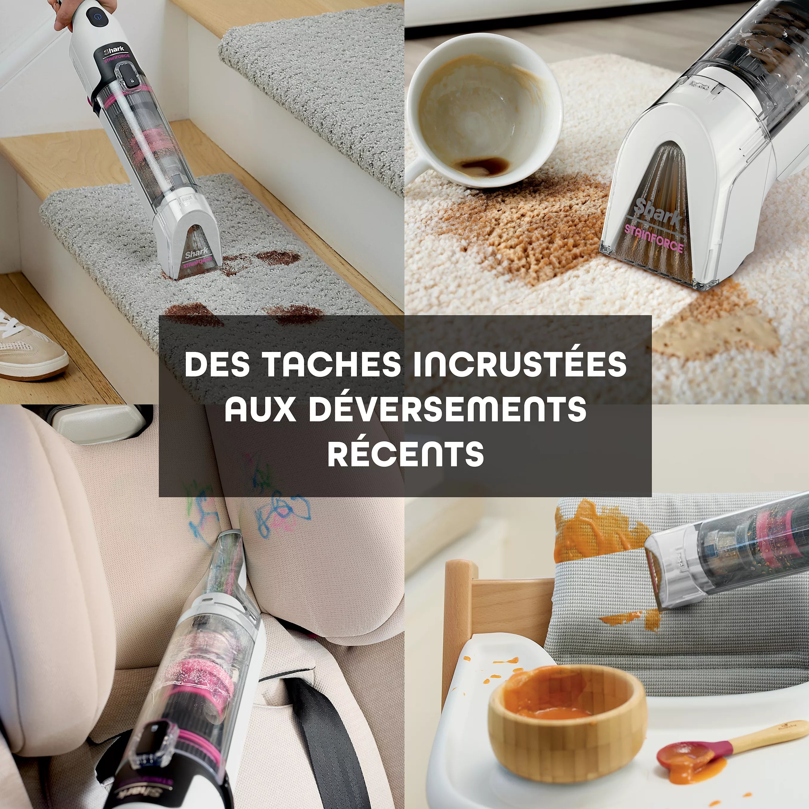 Shampouineuse Shark StainForce sans fil
