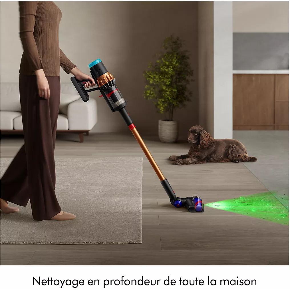 Aspirateur Laveur Dyson V16 Piston Animal Submarine