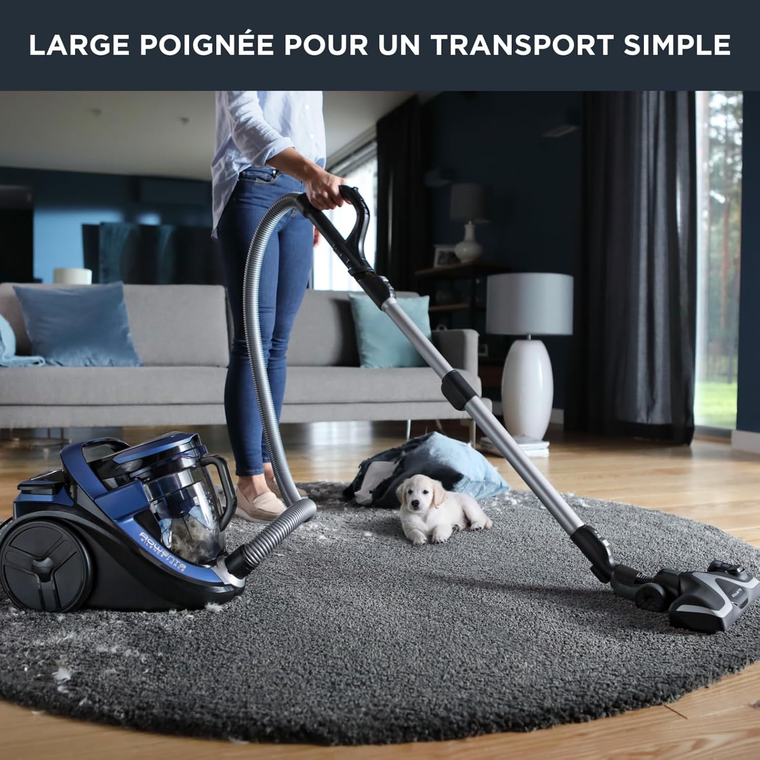 Aspirateur Rowenta Silencieux Cyclonic 5etoile Ro7691ea