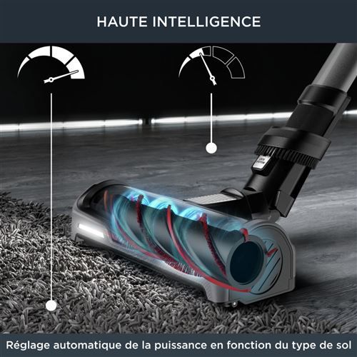 Aspirateur Rowenta X-Force Flex 14.60 kit Animal  RH99A9WO