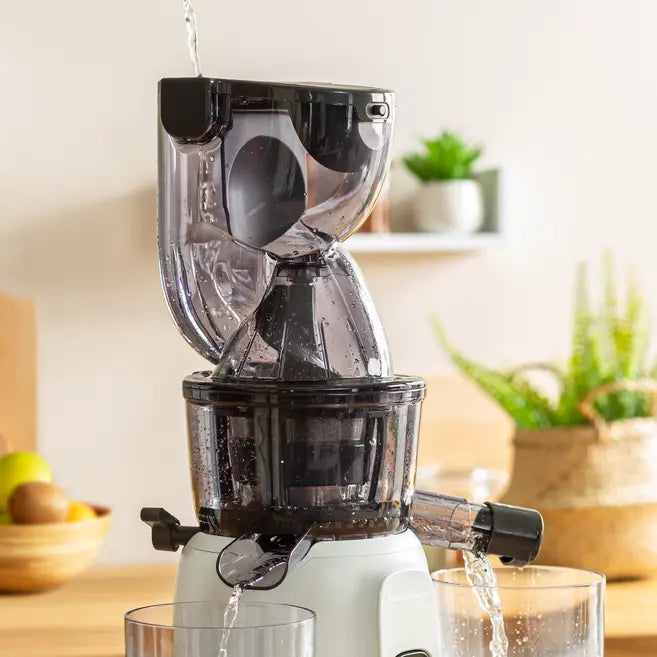 Extracteur De Jus Moulinex Ultra Juice 200w ZU600110