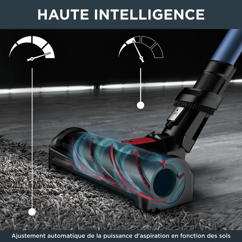 Aspirateur Rowenta X-Force Flex 12.60 AQUA