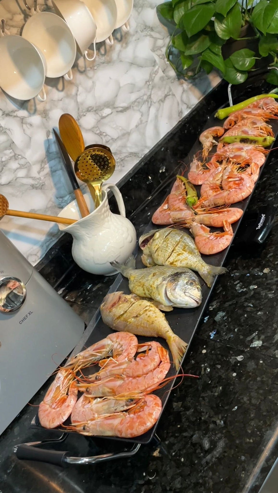 Plancha Electrique Royal Swiss 90cm/23cm