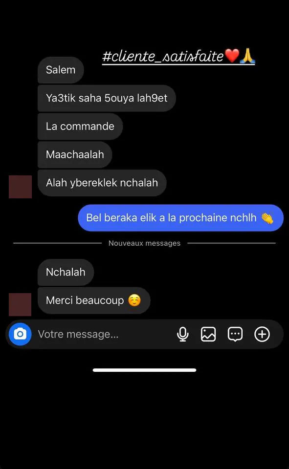 Capture d’écran envoyée par un client — Messages, Story Instagram · novembre 2024
