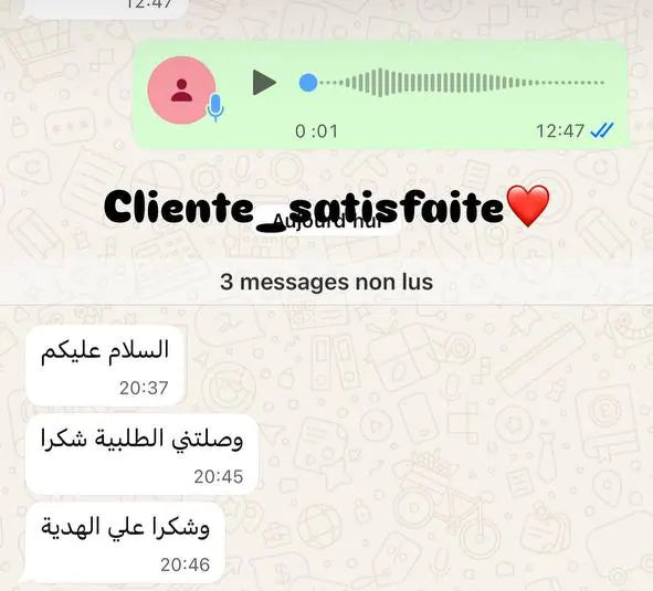 Capture d’écran envoyée par un client — Messages, Story Instagram · décembre 2025
